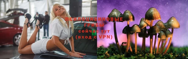 героин Алзамай