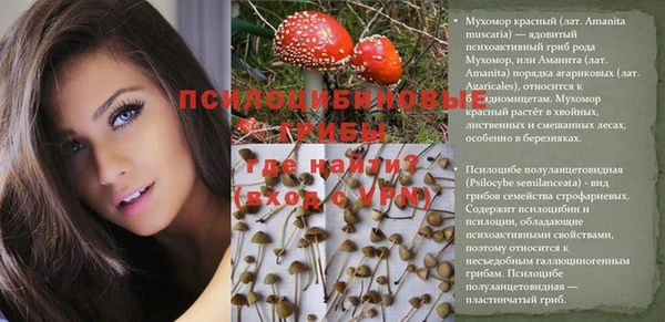 амф Алексин