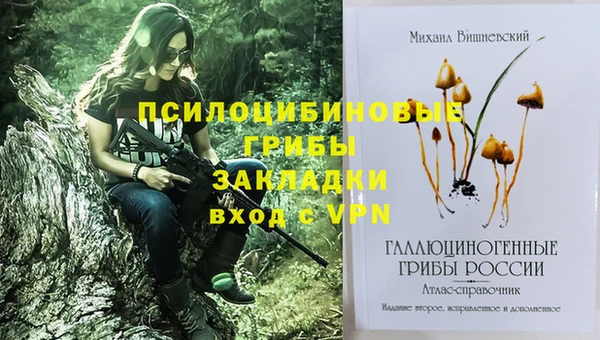 амф Алексин
