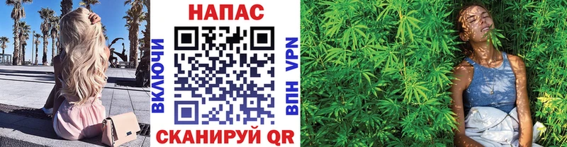 Шишки марихуана Ganja где купить Алупка